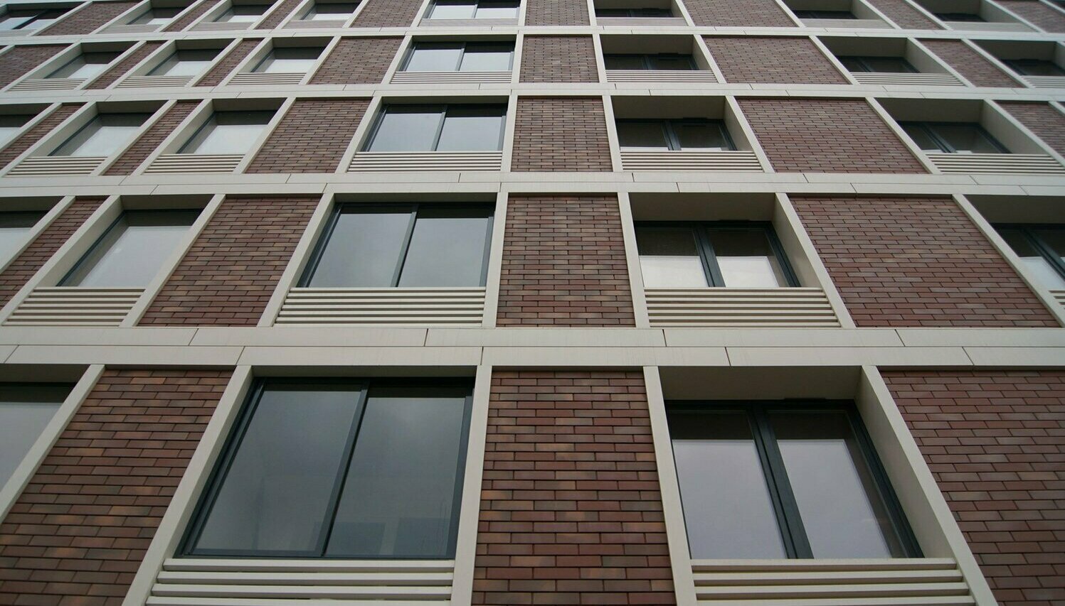 Описание изображения